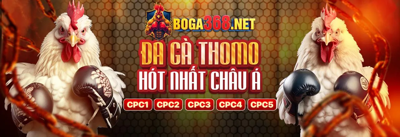 Chương trình VIP c54 app ios: Đẳng cấp cá cược trực tuyến